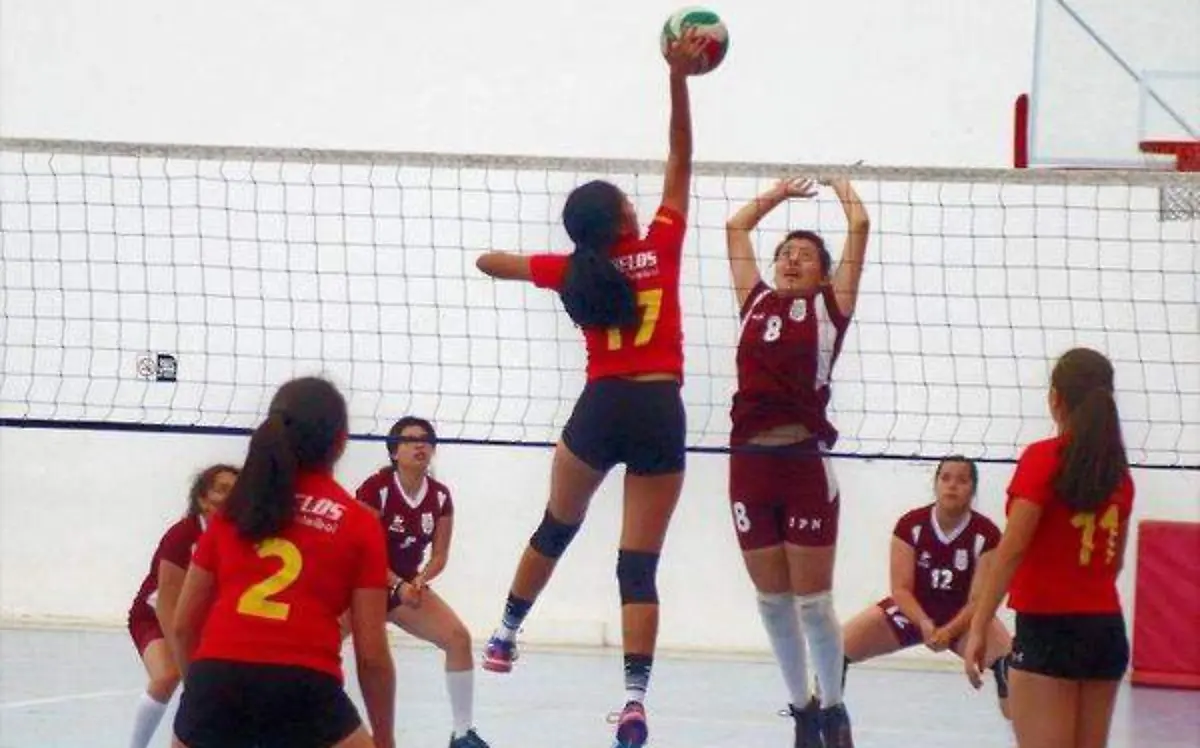 Se jugaron las finales de la Liga Estudiantil de voleibol en las canchas del CUAM- Roger Mixcoac